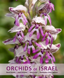 Orchids of Israel cover
